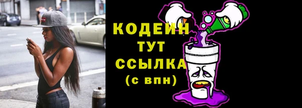 ПСИЛОЦИБИНОВЫЕ ГРИБЫ Новозыбков