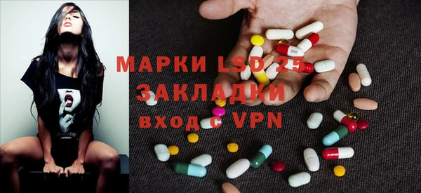 ПСИЛОЦИБИНОВЫЕ ГРИБЫ Новозыбков