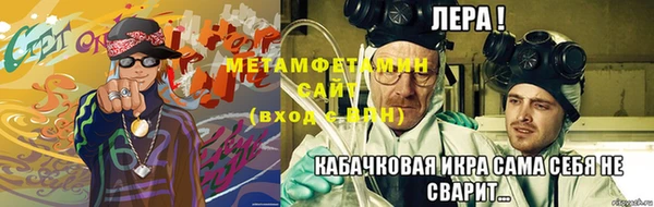 ПСИЛОЦИБИНОВЫЕ ГРИБЫ Новозыбков