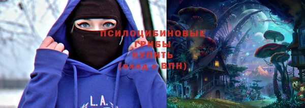 ПСИЛОЦИБИНОВЫЕ ГРИБЫ Новозыбков