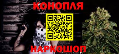 шишки Бердск