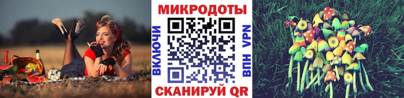 Галлюциногенные грибы Magic Shrooms  где купить наркоту  Бутурлиновка 
