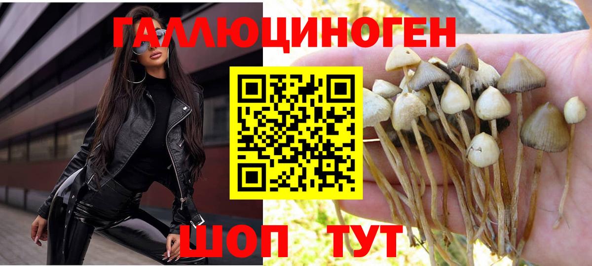 Галлюциногенные грибы ЛСД  Вход с VPN  Бутурлиновка 